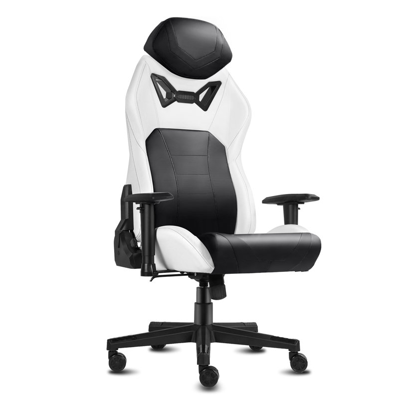 Inbox Zero Adjustable Ergonomic Swiveling PC & Racing Game Chair, Black/White