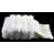 White selected