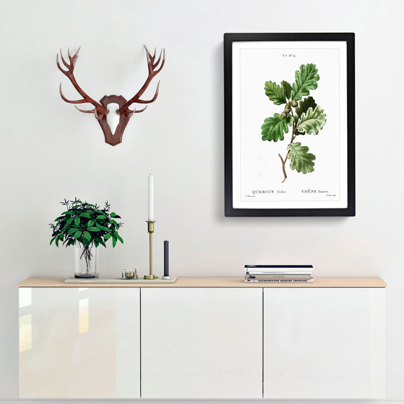 Oak Tree by Pierre-Joseph Redoute - Picture Frame Painting Print, 65cm H x 48cm W x 2cm D, Black Framed