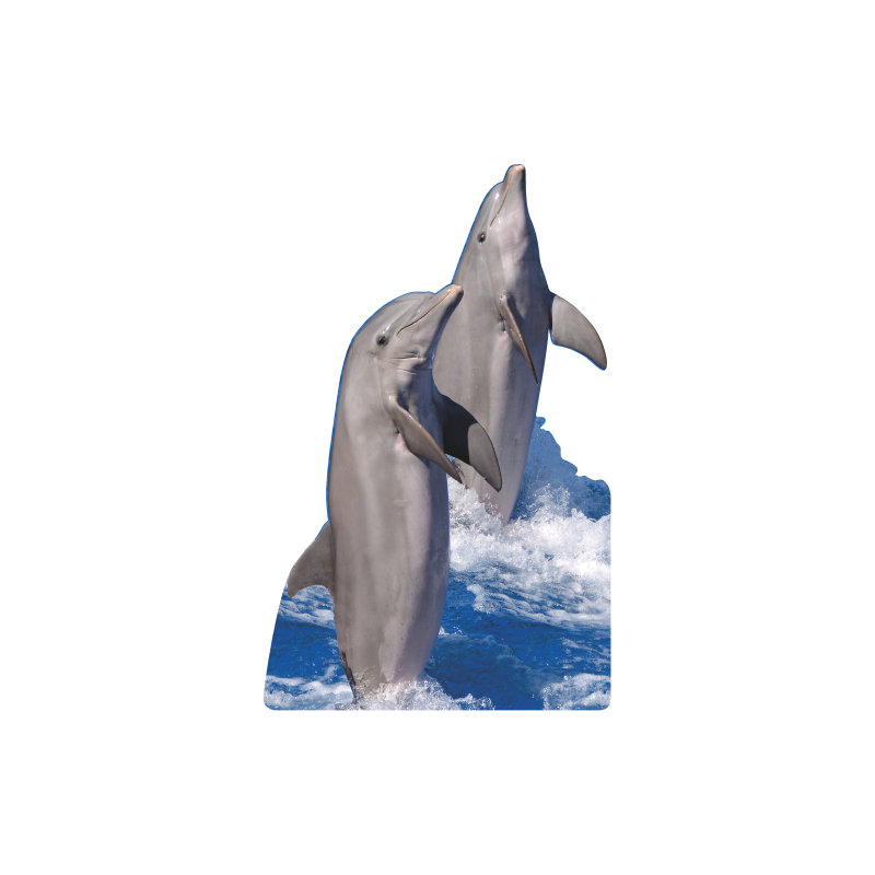 SC2569 Dolphins dansants en carton découpé debout