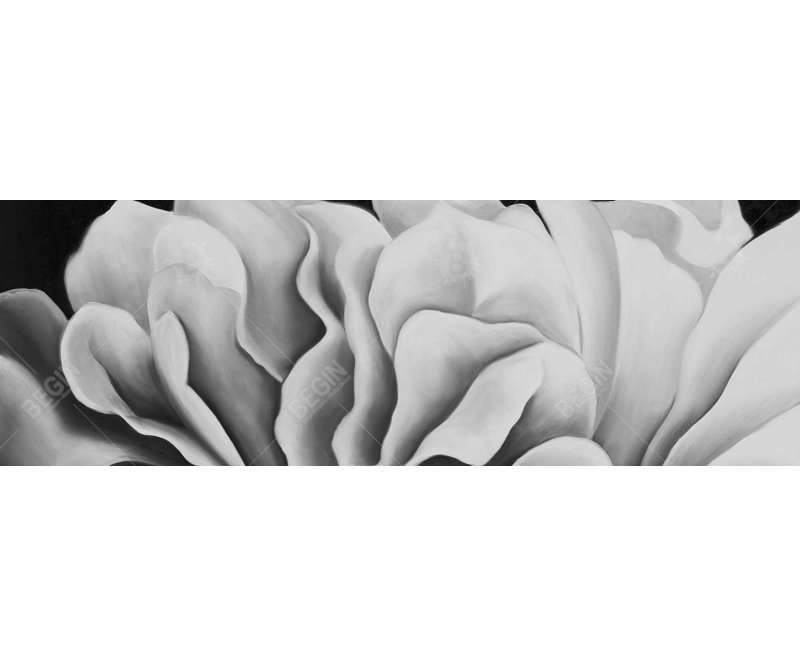 «Beautiful Black and White Flower» sur toile