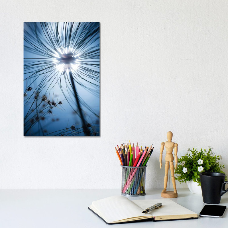 Jardin Botanique by Stefan Hefele - Wrapped Canvas Print, 20.32 cm H x 30.48 cm W