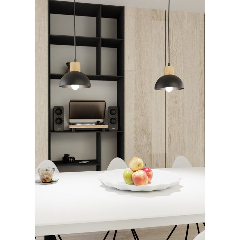 Aylesha 1 - Light Pendant, Matte Black