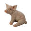 Figurine cochon assis-18361900