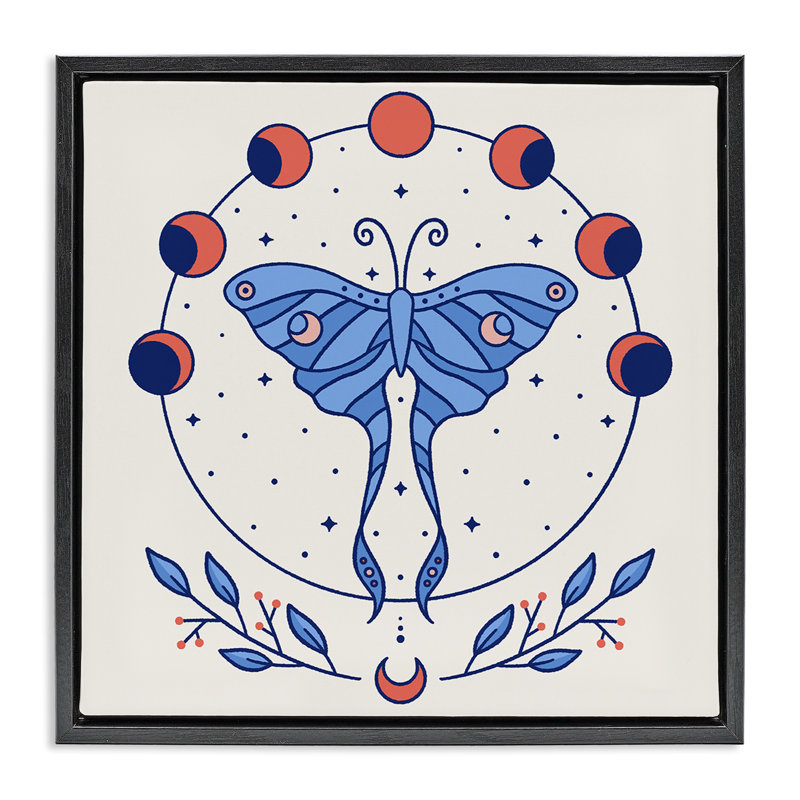 «Celestial Luna Moth», art mural encadré flottant par Ahmad, Cadre flottant noir de jais, H 25 po x l 25 po