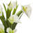 Arrangement in Vase-1298460076