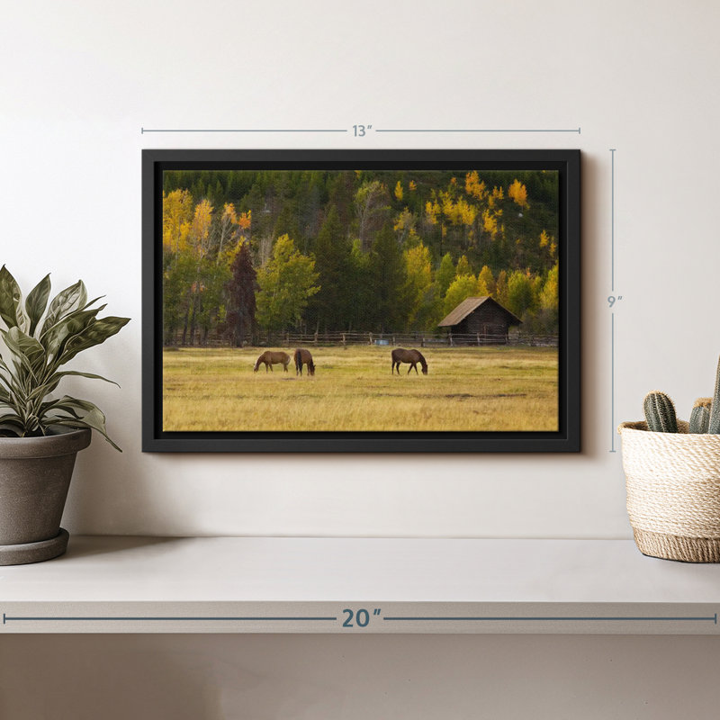 Nature «Chevaux et couleur d'automne à Jackson Hole», H 9 po x l 13 po
