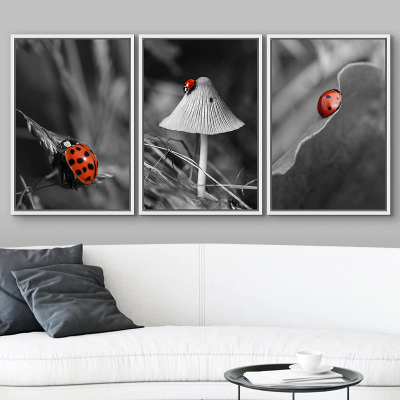 Décoration murale sélective en couleur de la coccinelle rouge, Cadre flottant blanc, H 36 po x l 72 po