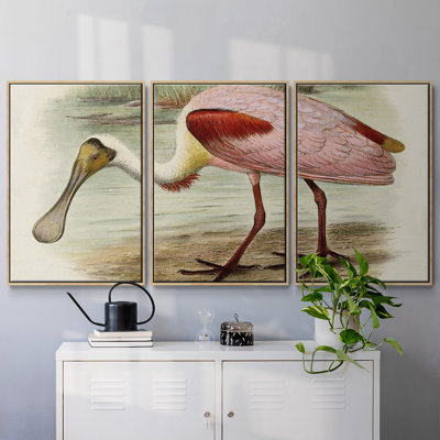 Roseat Spoonbills II 3 pièces
