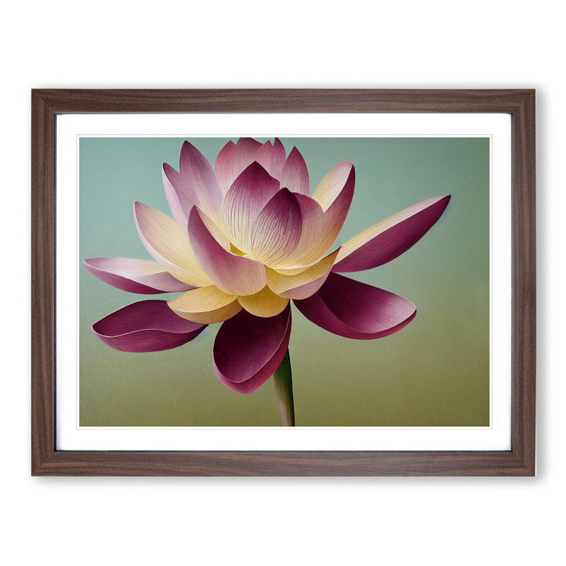 Shining Lotus Flower - Framed Print, 25cm H x 34cm W x 2cm D, Walnut