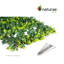 Feuille de rose avec bourgeons blancs extensibles W. Trellis 36 X 72 1pk