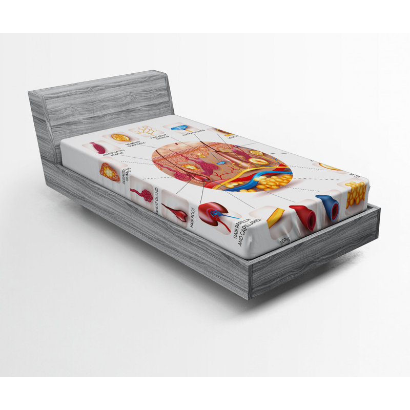 Drap-housse éducatif, Drap-housse de taille simple