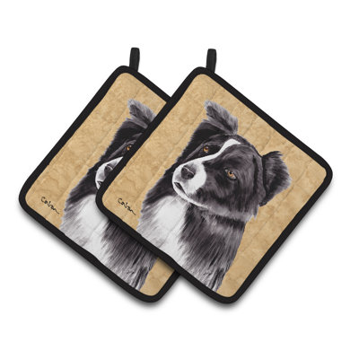 Border collie essuyer vos pattes