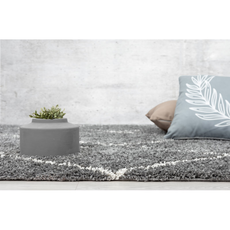 Godeus Shag Area Rug, Rectangle 200 x 290cm