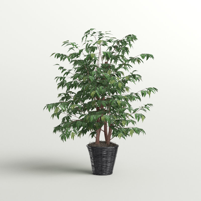 48'' Faux Tree in Wicker/Rattan Basket