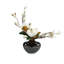 Southern Magnolias