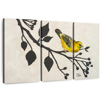 Brampt oiseau jaune sur la branche I