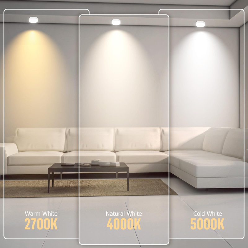 2-Light Night Light