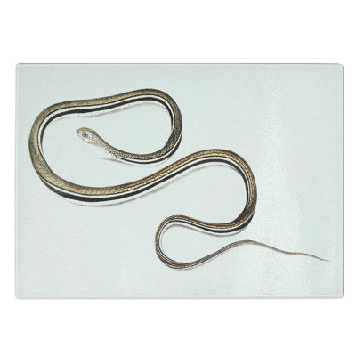 Glass Line-Tailed Tree Snake Illustration by John Edward Gray Chopping Board