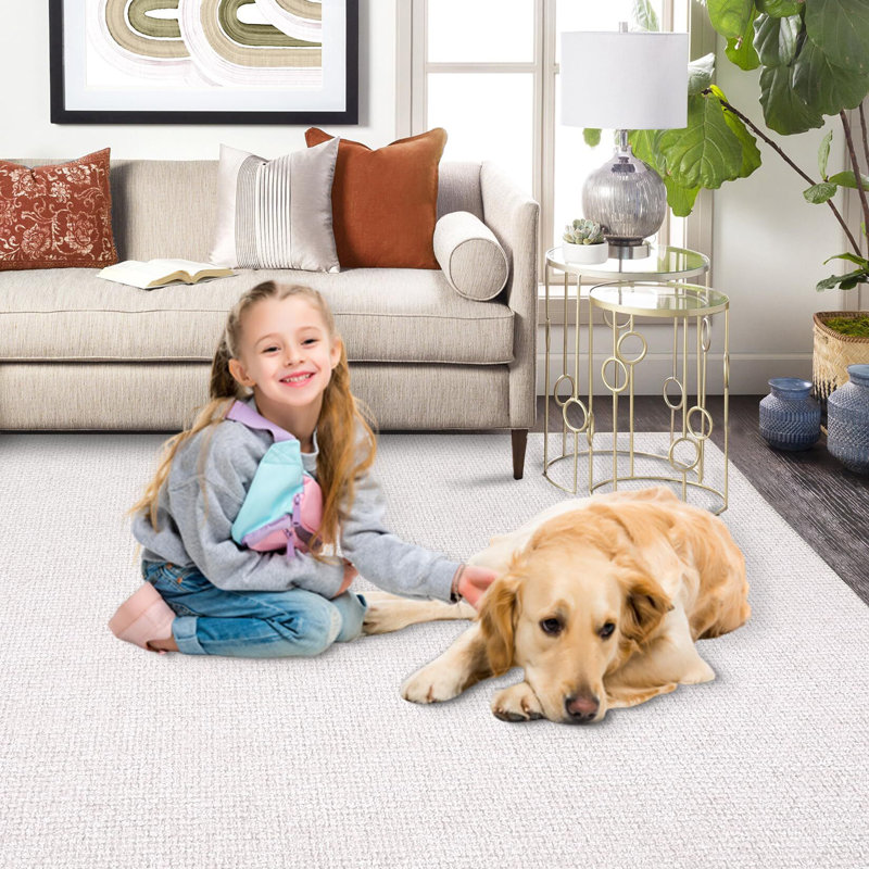 Area Rug 5X7 Modern Weaving Textured Machine Washable Rug Contemporary Carpet