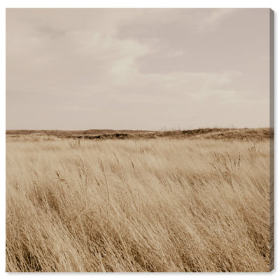 Golden Nature Print by Oliver Gal