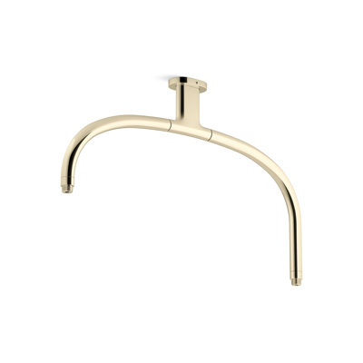 Statement Iconic Dual Shower Arm