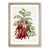 Oak Framed selected