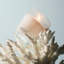 Ocean Mist & Sea Salt Classic Candle-912423658-912423653
