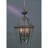 Newbury 4 - Light Outdoor Lighting-637894015