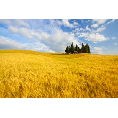 Typical Landscape in Tuscany 1 Piece Wrapped Canvas Wall Art