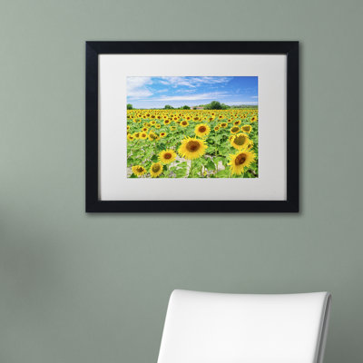 'Field of Yellow' by Cliffton Framed Photographic Print