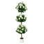 150cm Plant