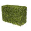 Hedge-1205756384