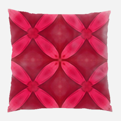 Coussin décoratif