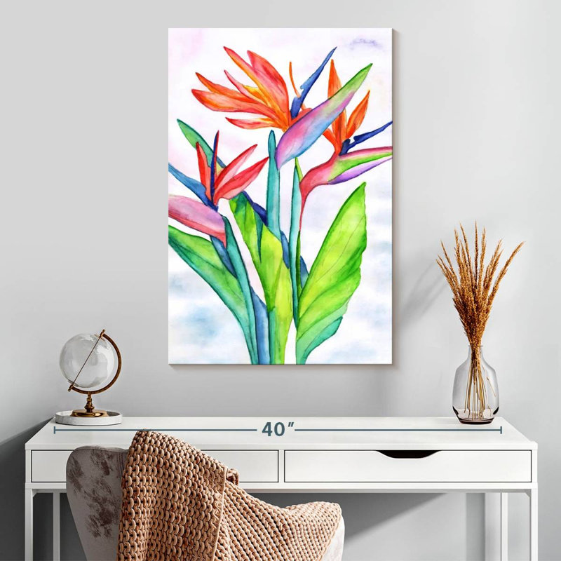 Strelitzias Harnek, H 30 po x l 20 po