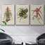 Adriana Classic Chinoiserie I, ensemble de 3 toiles encadrées sur toile-97759318-97759319