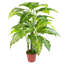 100cm Faux Tree in Metal Planter-306511610