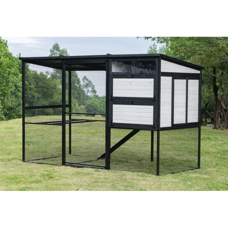 Grand poulailler Modern Ultraguard