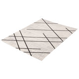 Delphinia Area Rug in Ivory/Black
