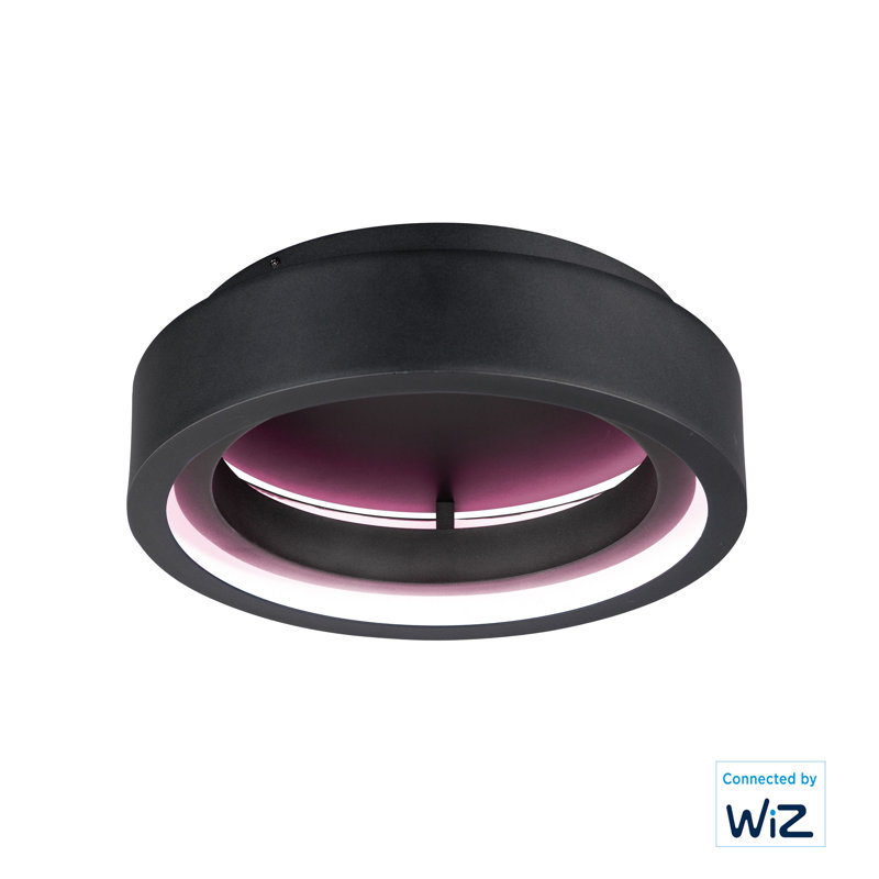 ICorona LED Flush Mount, Black