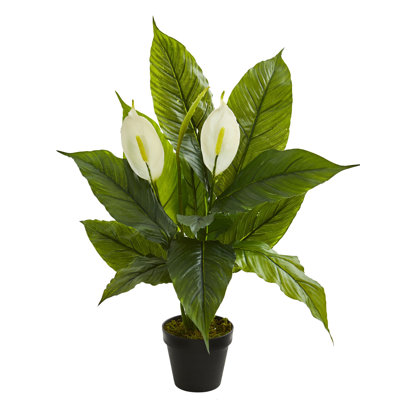 Plante spathiphyllum artificielle en pot de fleurs