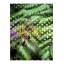 Tapis vert lavable à la machine-119081019