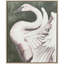 Swan Dance II Canvas