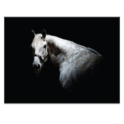Horse 1 by Joe Vittorio - Wrapped Canvas Print