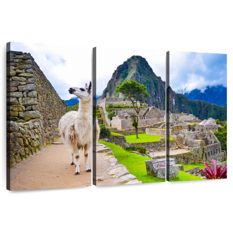 Brampt Peru Llama, 36" H x 57" W