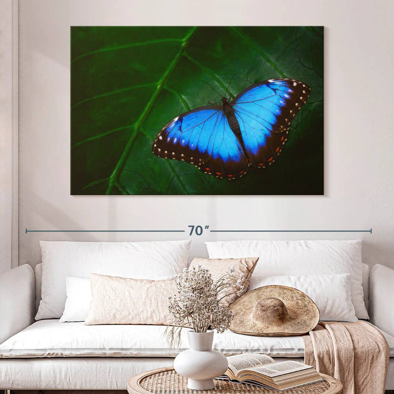 Brampt Pretty Blue Butterfly, 34" H x 51" W