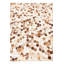 Tapis Isidore