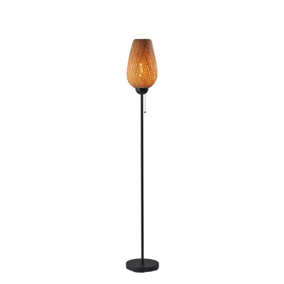 Raine 68.25'' Black Novelty Floor Lamp