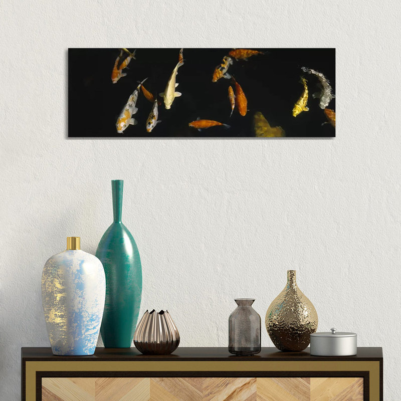 Close-up of a School of Fish in an Aquarium, Japanese Koi Fish, Capitol Aquarium 1 Piece Wrapped Canvas Panoramic Wall Art