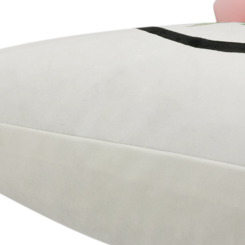  Housse de coussin en velours appliqué